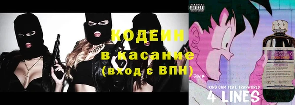 гашик Алексеевка