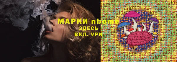 гашик Алексеевка